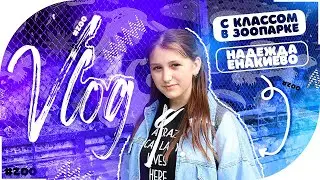Я в зоопарке с классом