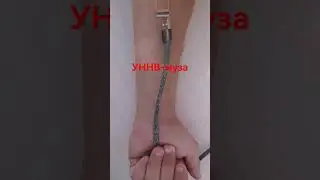 муза