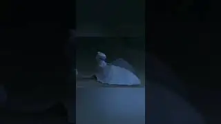 ночная и деновая фурия
