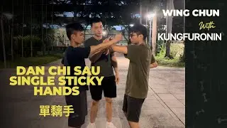 Wing chun Dan Chi sau - single sticky hands 詠春單黐手