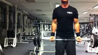 Dingo curls 50 kg