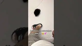 #follow