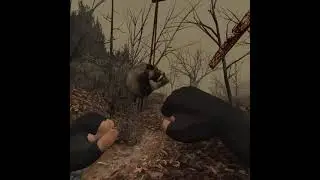 Quest 2 - RE4 Boxing