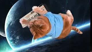 Keyboard Cat's Space Yoroshiku!