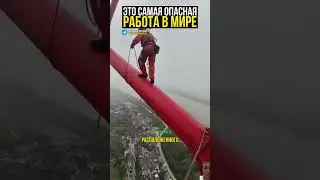 💲2млн. Просто охранять маяк! #работа #море #опасность