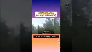 Harbiylarga halaqit berish mumkinmi?