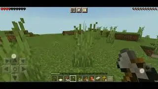 I KILLED IRON GOLEM IN MY PUBLIC SMP AND GOT 5 IRON INGOT