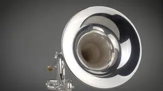 Step Up Trumpet