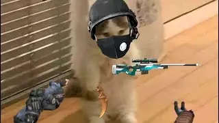 Смешные моменты #standoff2