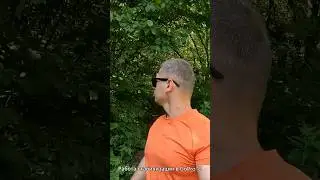 Тест стабилизации в GoPro 12