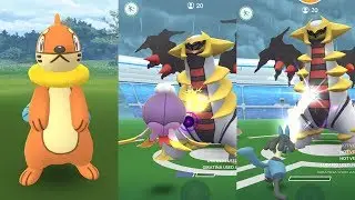 Catch Buizel - Raid Battles Giratina Vs Buizel, Drifblim & Lucario