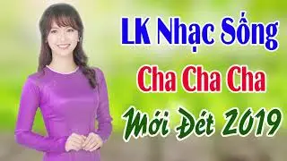 Nhạc Sống Cha Cha Cha Mới Đét 2019 - LK Disco Sôi Động Càng Nghe Càng Hay - Sến Xưa Tuyển Chọn