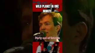 The b-52's Wild Planet in one minute 🤟🏻🌎🤟🏻 #b52s #music #rock #theb52s #newwave #80s