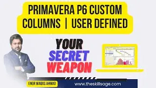 Mastering Primavera P6 User-Defined Fields for Engineering Projects | Custom Columns and Control |