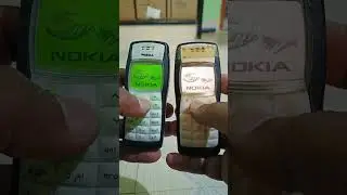 Nokia 1100 Display 