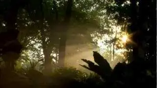 PETROW - PRIMĂVARĂ [VIDEO-2013]