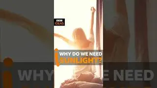 Why is sunlight so important for our health? #Shorts #Sunlight #BBCIdeas