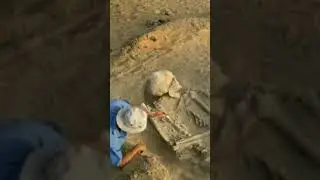 Скандал в Смитсоновском институте🤯
