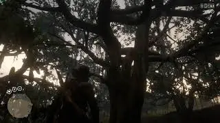 Red Dead Redemption Online - Egg bug
