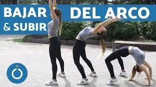 GOING UP AND DOWN ON THE ARCH - Warm-up and EXERCISE
