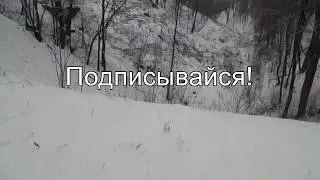 Дисс на (Лизку )