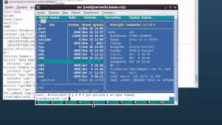 [Мирончик И.] Oracle BI 11: Администрирование BI repository [1-5]