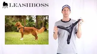 Leashboss No-Pull Front Clip Dog Harness