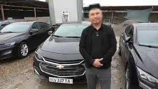 To'y karteji xaydovchilari jazolandi