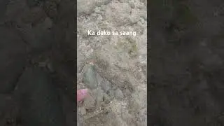 kinhason. #shortsvideo #cebuprovince #samboan
