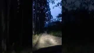 Uber Rural