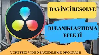 Davinci Resolve-7-Blur Effect (Blur-Mosaic)