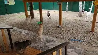 Веселушка😆