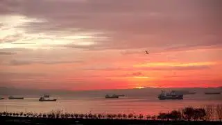Gün doğumunda boğazdaki gemi yoğunluğundan  timelapse