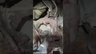 Чей ковбой затерялся в пустыне? 🤠 