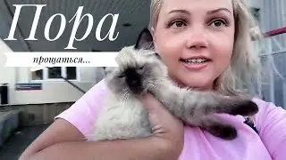 ДО НОВЫХ ВСТРЕЧ / ОТПУСК ДОЛЖЕН БЫТЬ ТАКИМ / ЧИЛИМ / ТУАПСЕ 2023