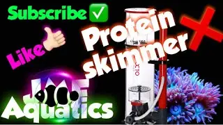 Protein skimmer Not needed
