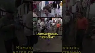 А вы ответственный человек?😄