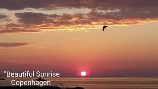 Beautiful Sunrise, Copenhagen (2021, june)