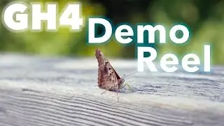 Panasonic Lumix GH4 Demo Reel