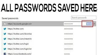 HOW TO SEE SAVED PASSWORDS IN GOOGLE CHROME