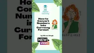 How to Change Currency Format in 