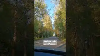 Дорога к дому 