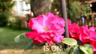 Image Stabilizer ON OFF Sample