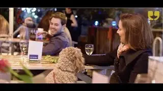 Pet Pavillion Speed Dating With Your Dog
