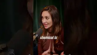 The Hidden Toxin in Your Everyday Products