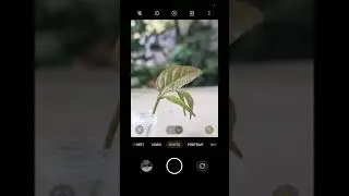 #mobilephotography