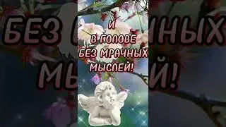 С воскресным утром!