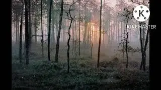 By Dawn’s Early Light—Original Djent/Metalcore Song