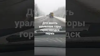 12 ноября 2022 г.