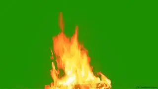 real fire greenscreen ||free greenscreen no copyright 